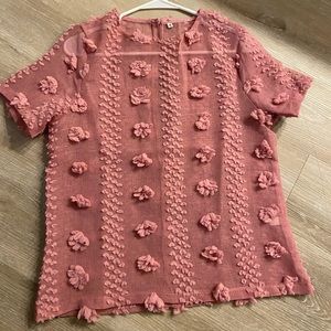 Pink sheer blouse